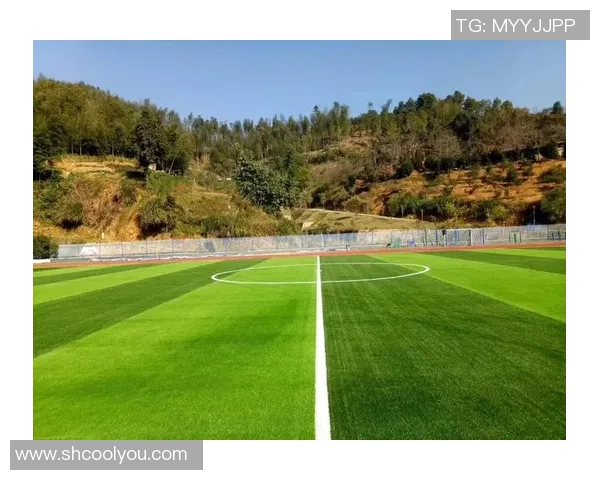 足球场草皮的养护与管理技巧提升比赛质量的关键因素